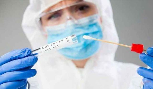 Yeni bir pandeminin eli kulağında: Ölümcül "mantar salgını" riski artıyor
