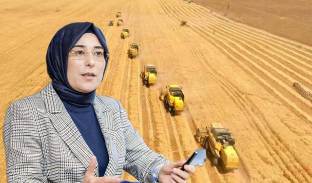 Milletvekili Yazmacı: Viranşehir’in verimli toprakları suyla buluşuyor
