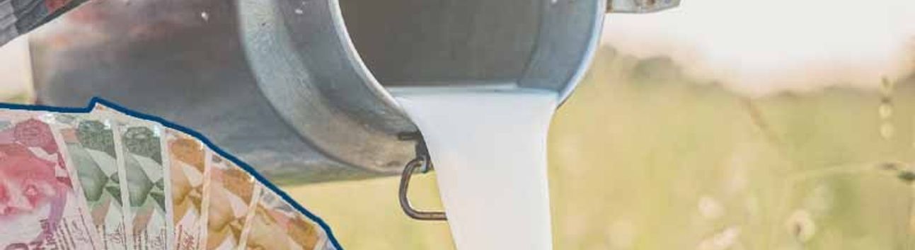 Şanlıurfa'da çiğ süt üreticilerine destek priminin ödeneceği tarih belli oldu! İşte Detaylar